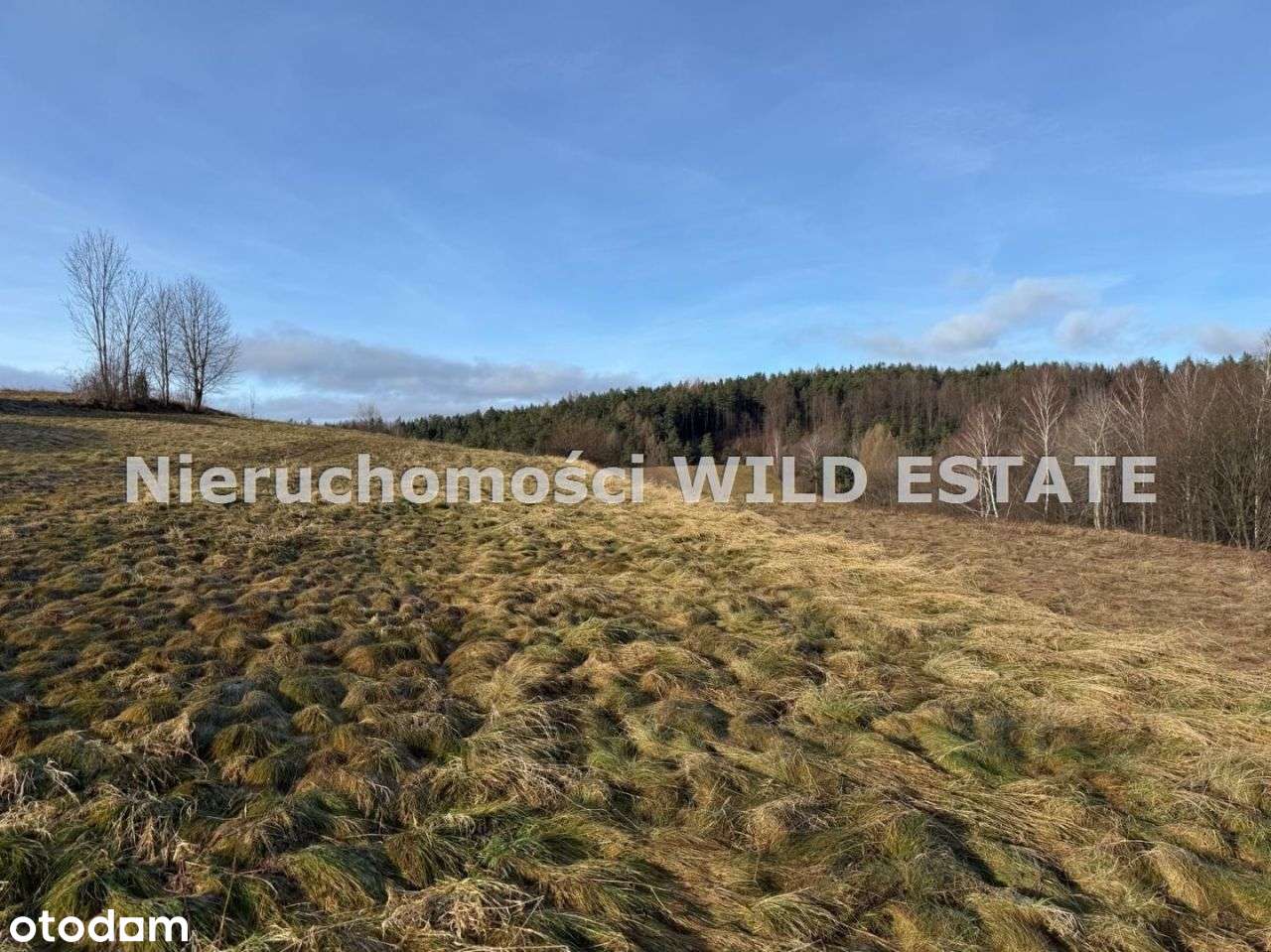 Działka, 3 402 m², Berezka-4