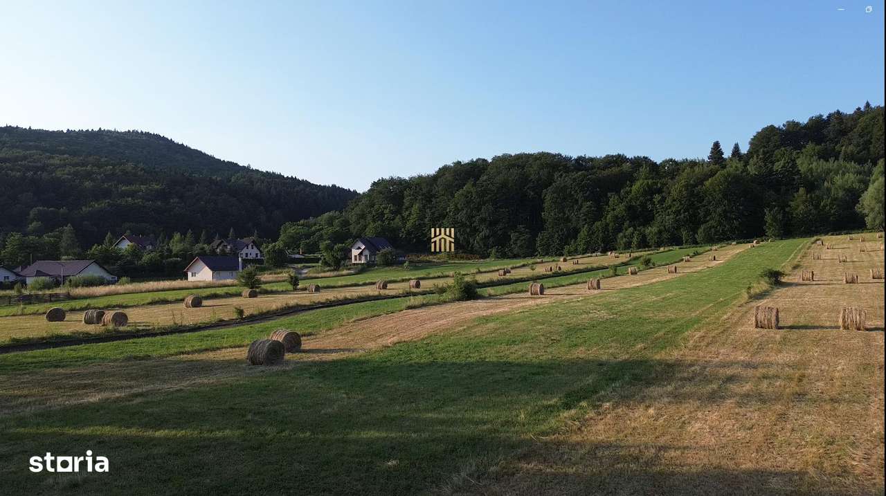 Teren 5886 mp In Bucovina - Bucsoaia! De Vanzare! - Imagine principală: 5/15