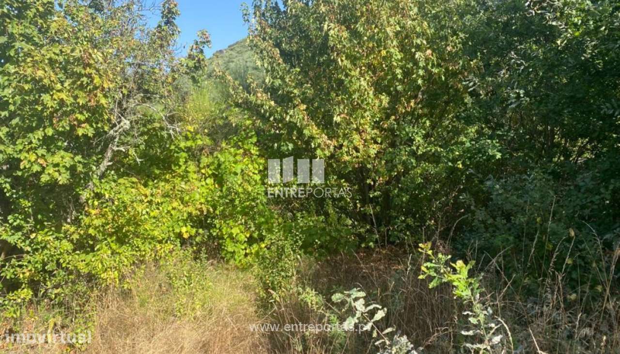 Venda Terreno, Carvalho de Rei, Amarante - Grande imagem: 5/14