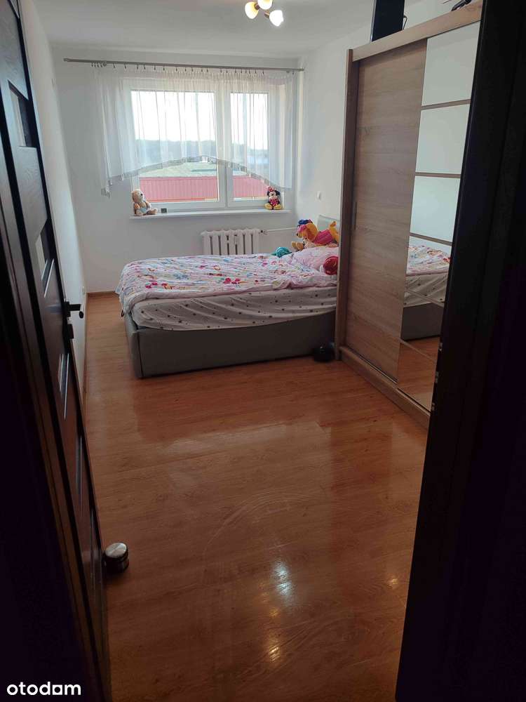 Mieszkanie Pniewy Spacerowa 3 pokoje - Pełny obrazek: 4/8