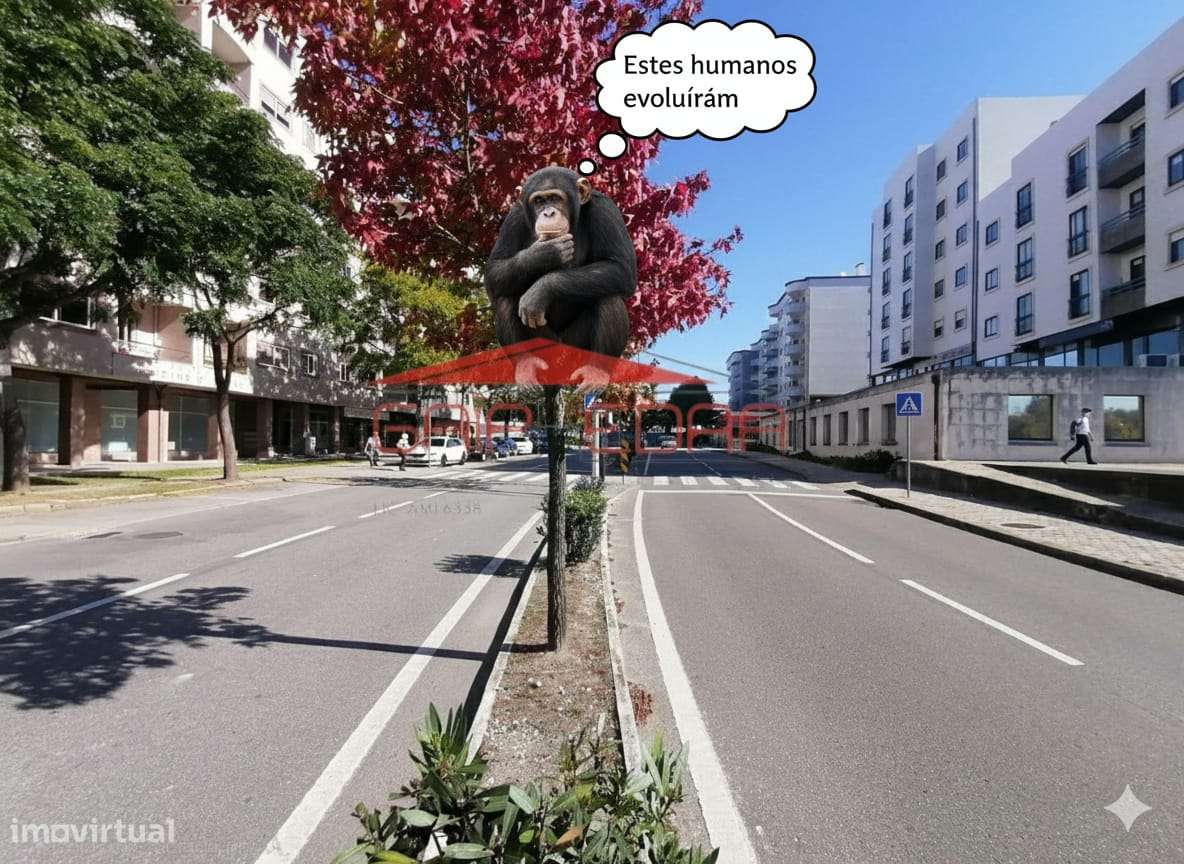 Oportunidade comércio ou apartamentos Aveiro Centro - Grande imagem: 2/28