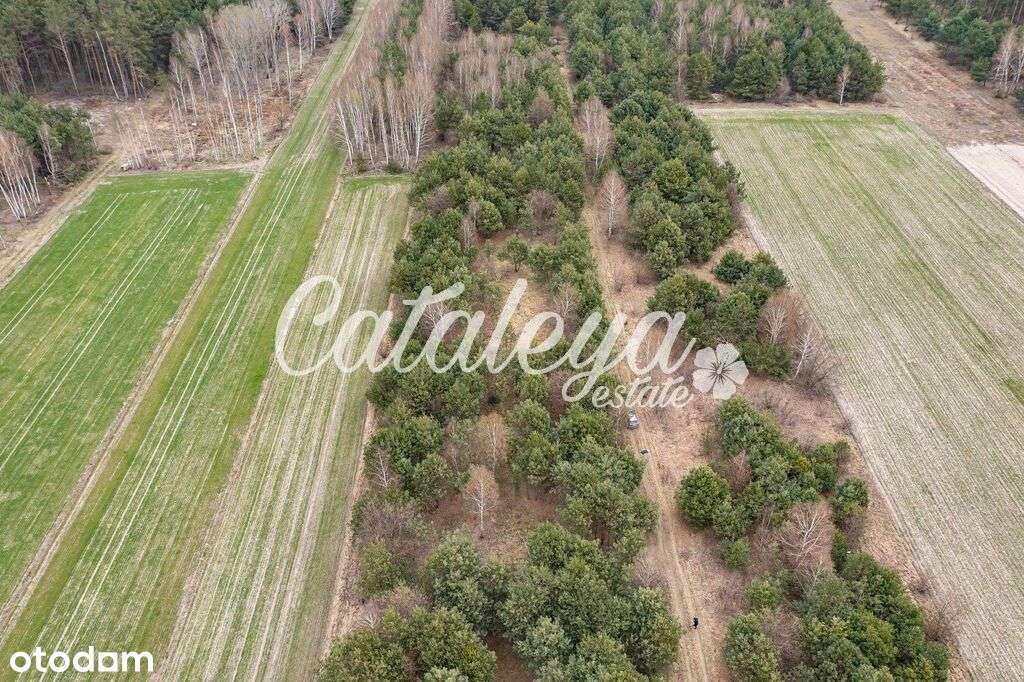 Mazowsze/Rzeka/Natura/Budowlana/Inwestycja/ - Pełny obrazek: 5/10