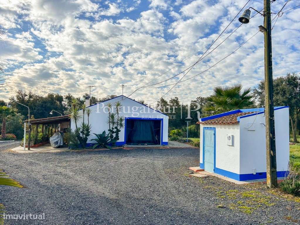 Quinta de 5 hectares, com 2 moradias e piscina-36