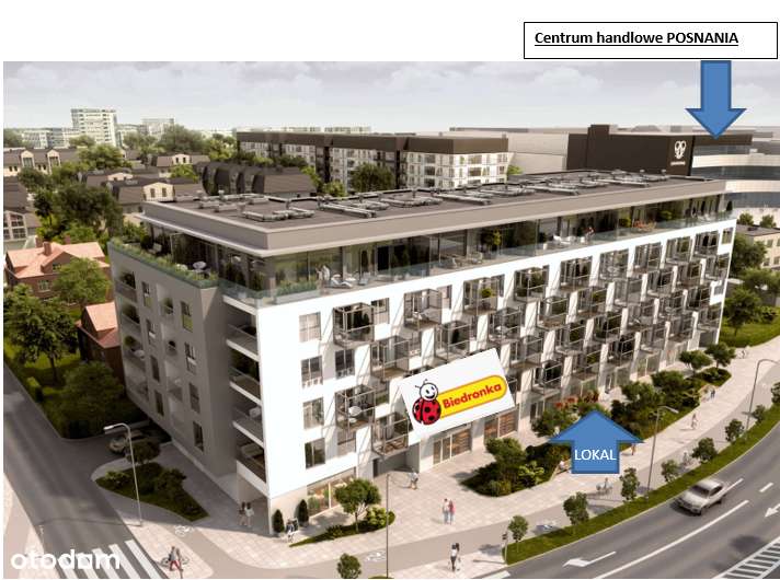 F45 globalna sieć butikowych siłowni | koło Biedronki-2