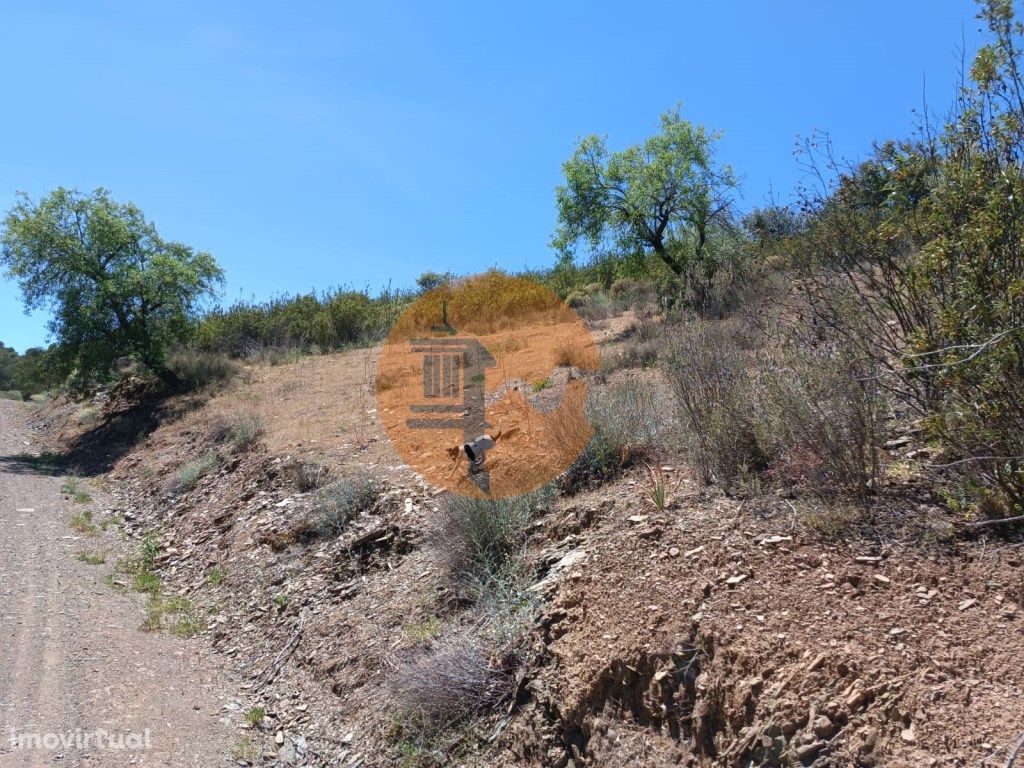 TERRENO COM 12.800 M2 - PRÓXIMO A COR...