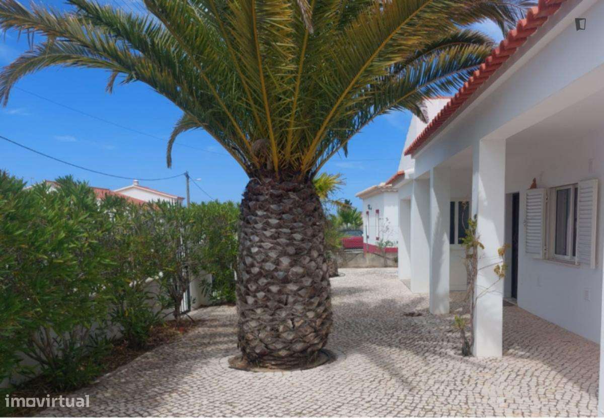 Casa com 3 quartos - localizado em Aljezur - Grande imagem: 3/10