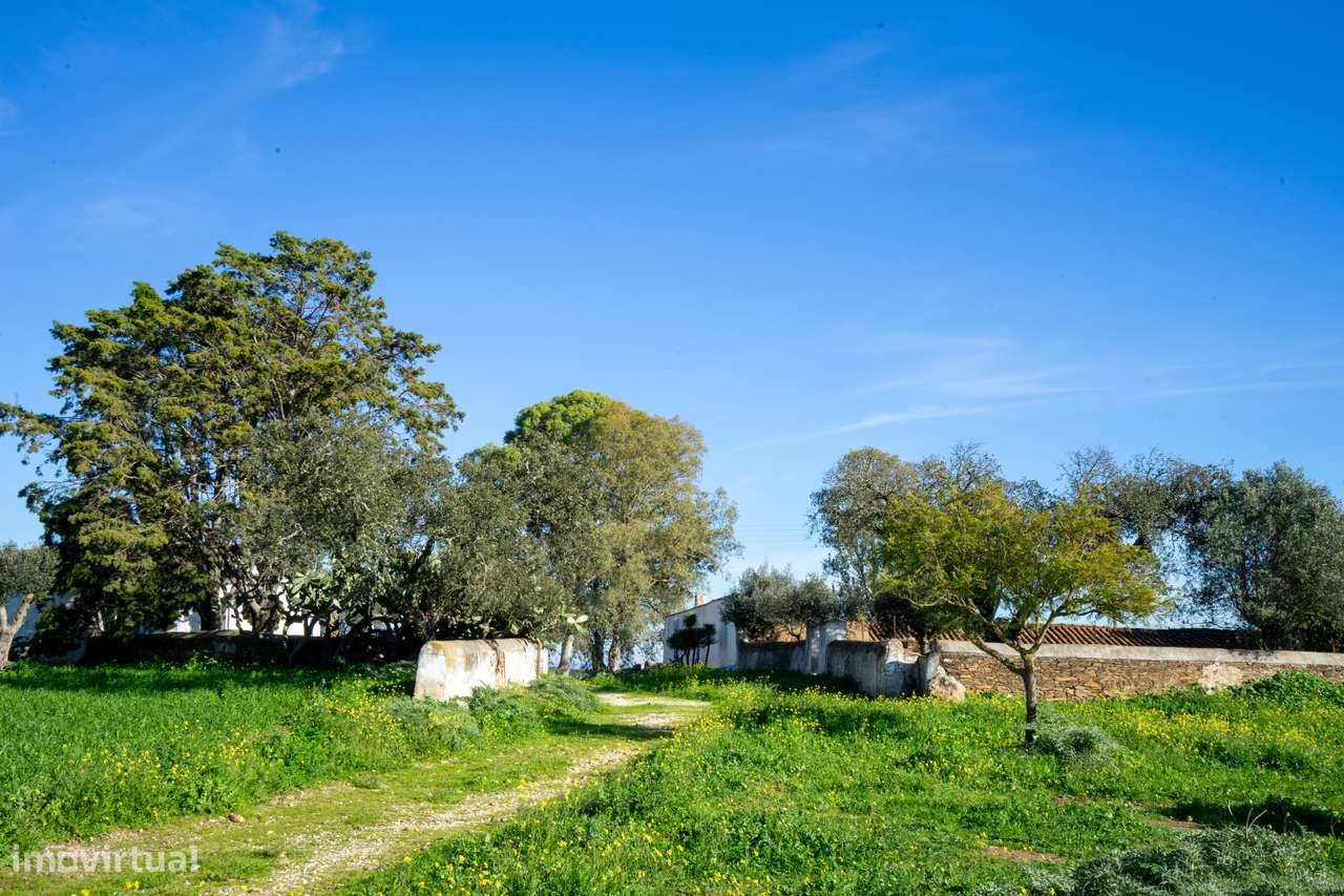 MONTE ALENTEJANO NO ALANDROAL, ÉVORA-36