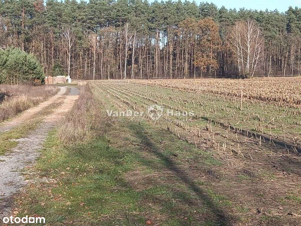 Działki Lipki: świetna lokalizacja - Pełny obrazek: 4/6