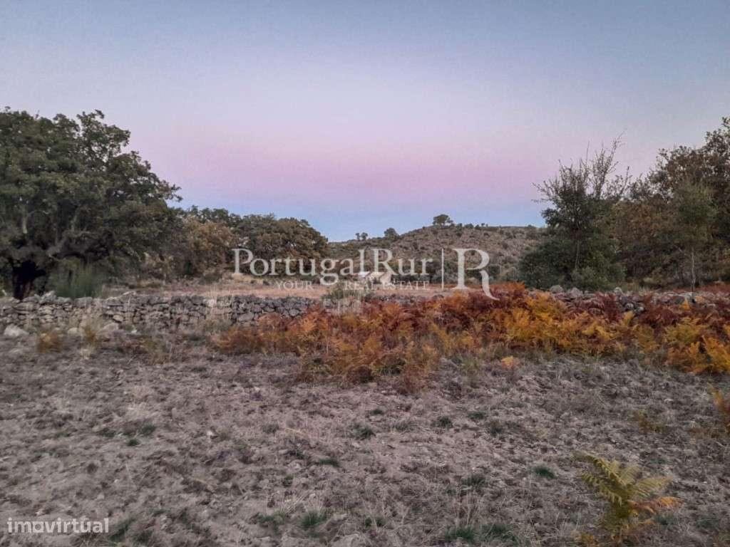 Quintinha com 3 ha e casa para reconstrução - Grande imagem: 4/47