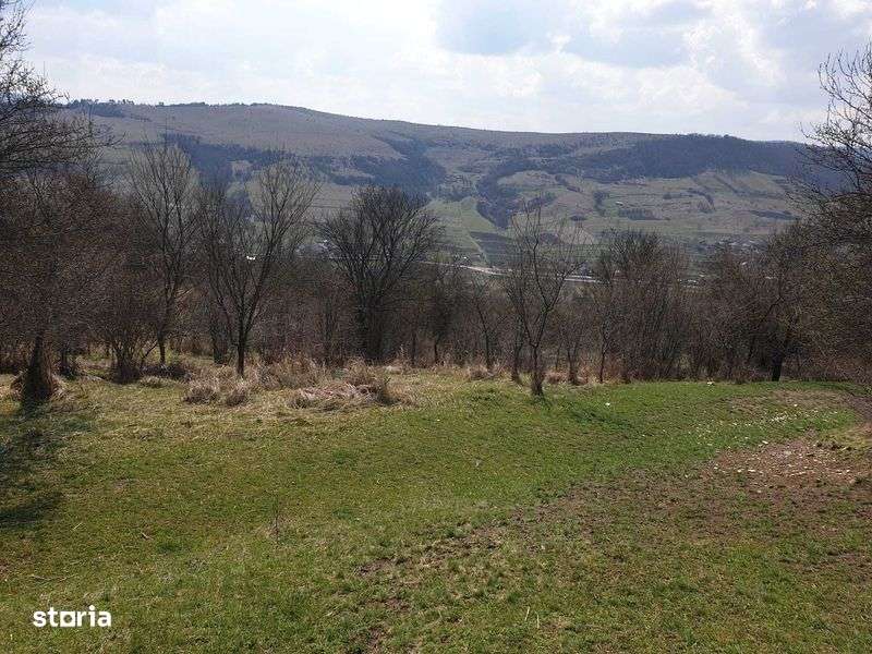 Teren intravilan DEJ , dealul Sf.Petru , total 20.000 mp - Imagine principală: 5/6