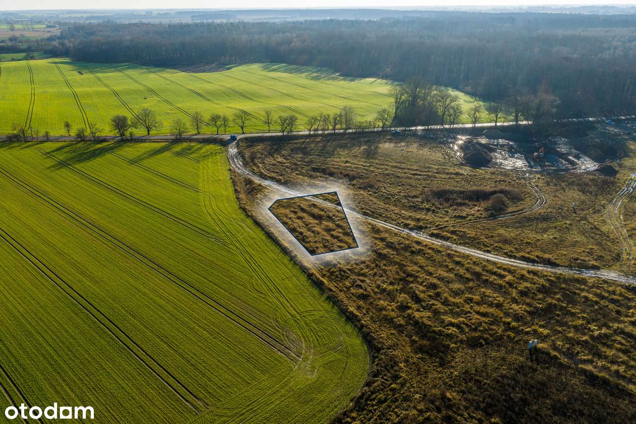 Działka budowała | MPZP | blisko lasu-3