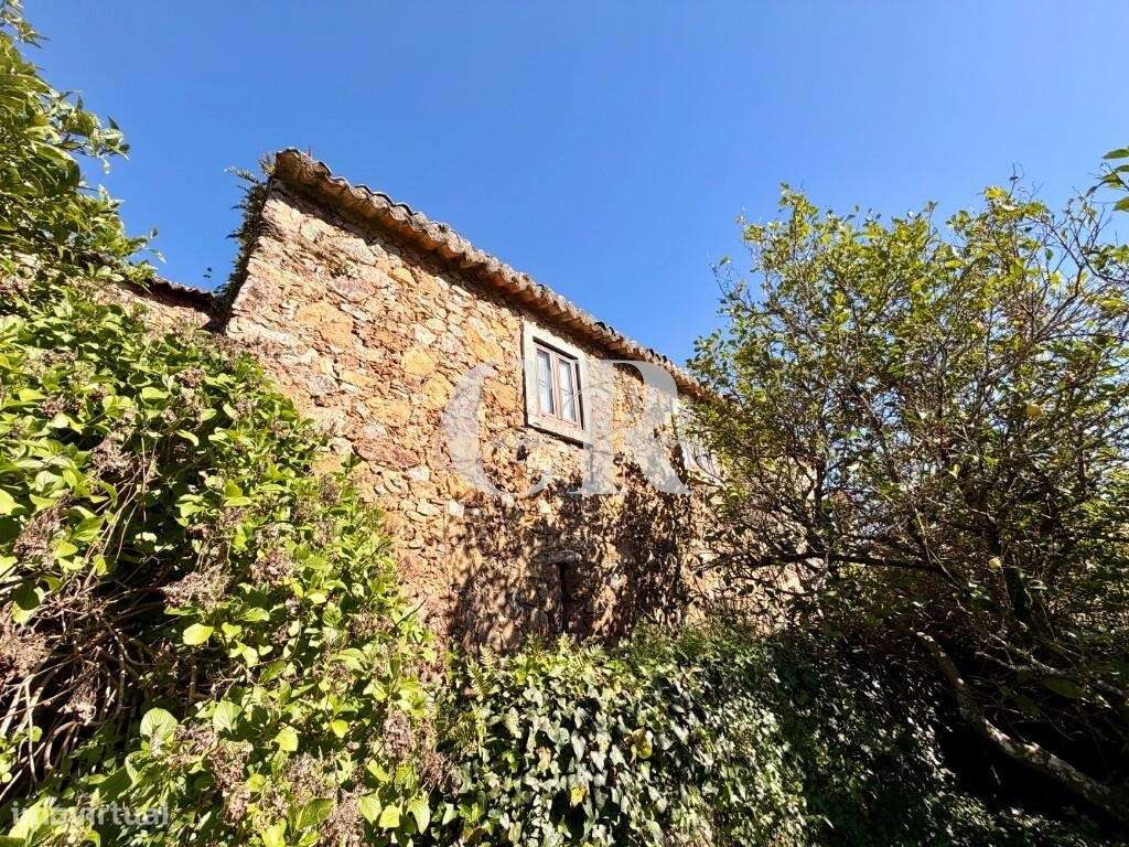 Moradia na Aldeia de Xisto de Casal de São Simão - Figueiró dos Vinhos-56