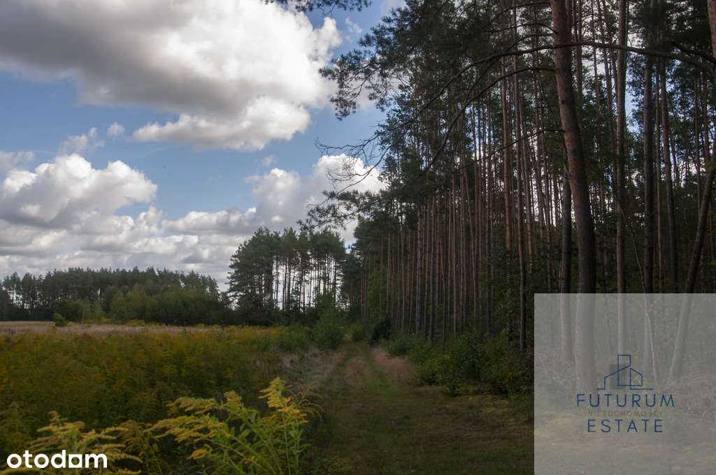 Działki budowlane na sprzedaż - Skrybicze-7