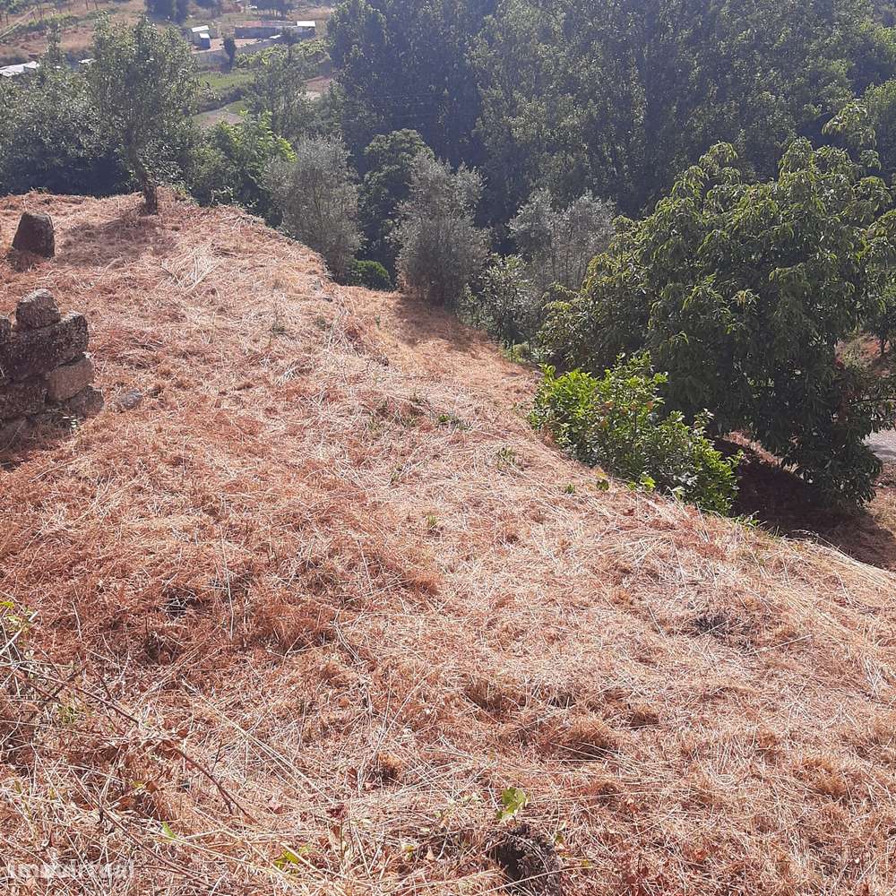Casa em pedra para reconstruir Canelas Penafiel-29