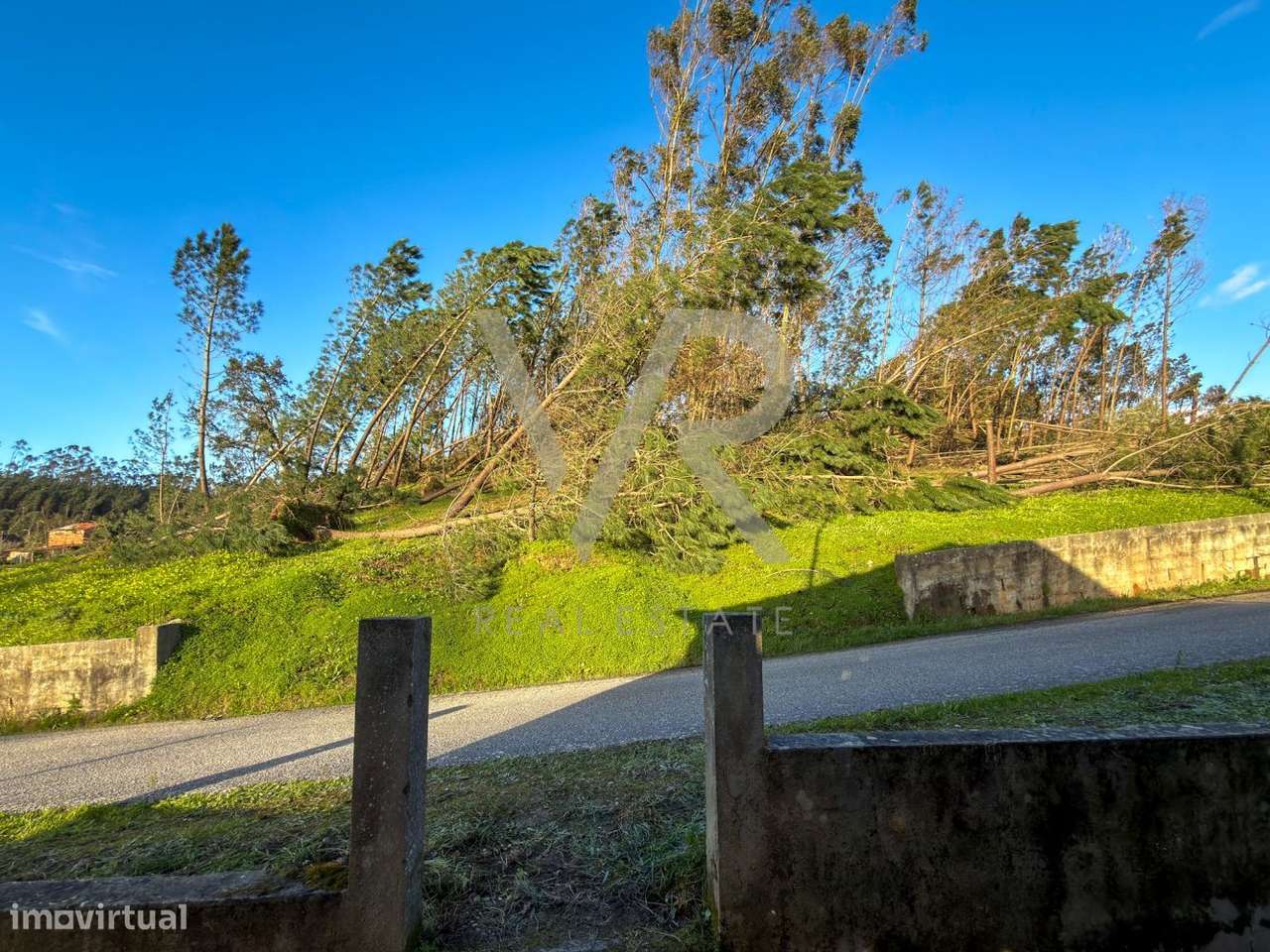 Moradia para Remodelação com Terreno Generoso em Ourém-15