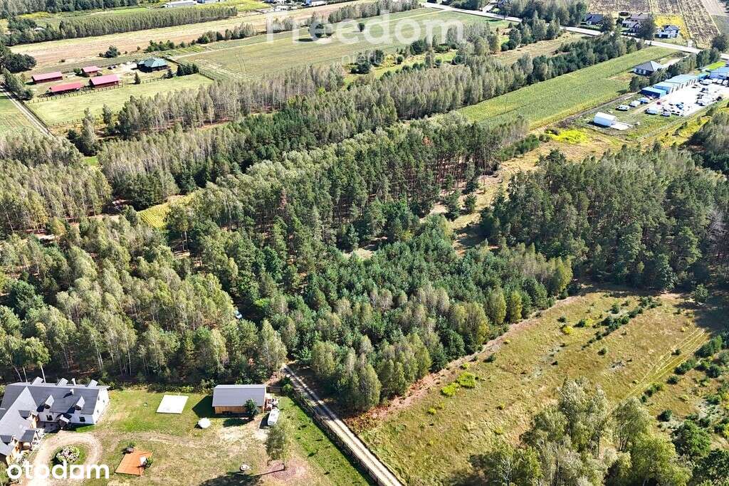 Działka 31,4 ar przy ul. Sosnowej w Dąbrówce Ług - Pełny obrazek: 5/7