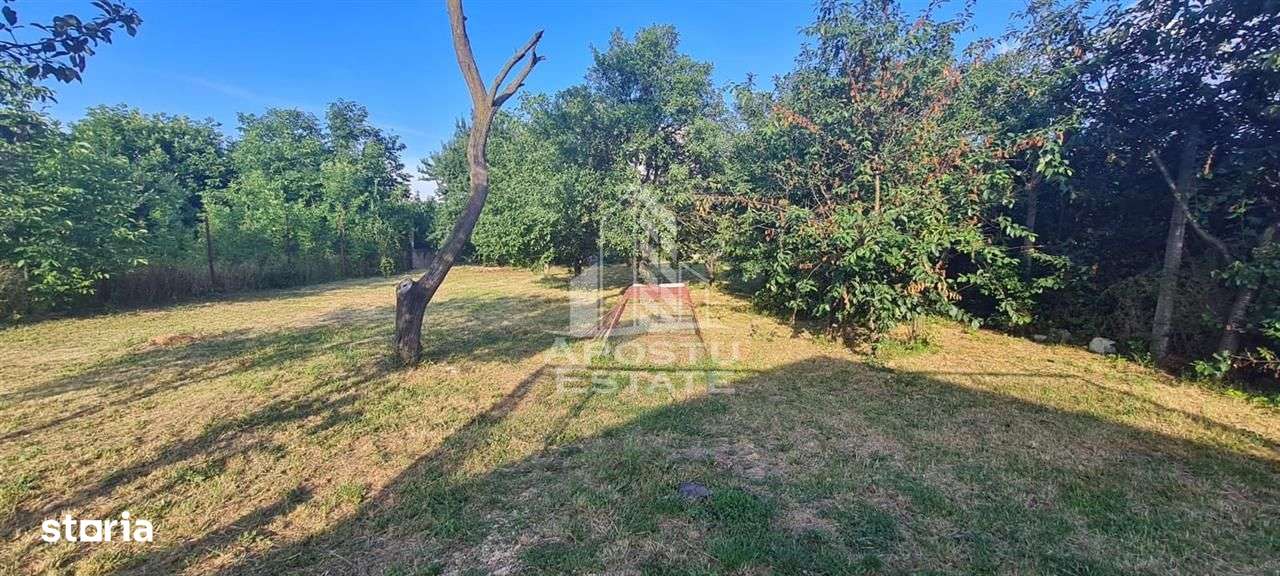 Casa cu teren de 2000 mp,  Timisoara - Imagine principală: 4/6