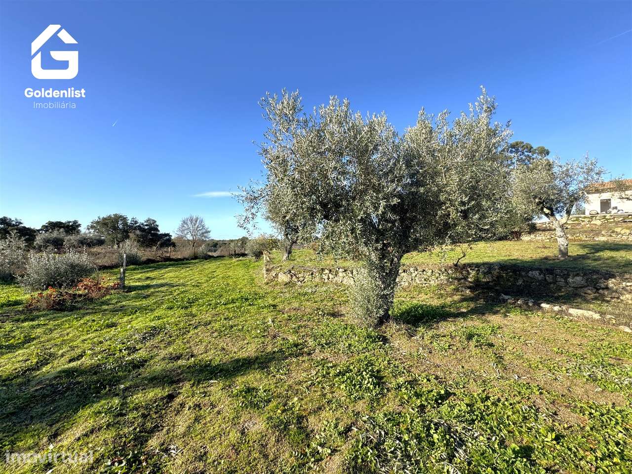 Quinta T3 Venda em Escalos de Cima e Lousa,Castelo Branco-40