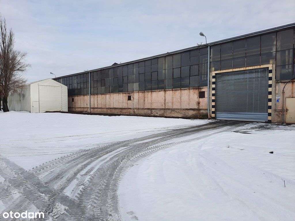 Hala przemysłowa z działką niezabudowaną-5