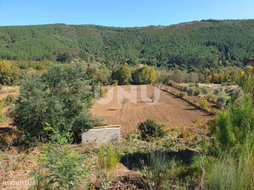 Excelente terreno localizado nas Taliscas, freguesia do Paul - Grande imagem: 2/5