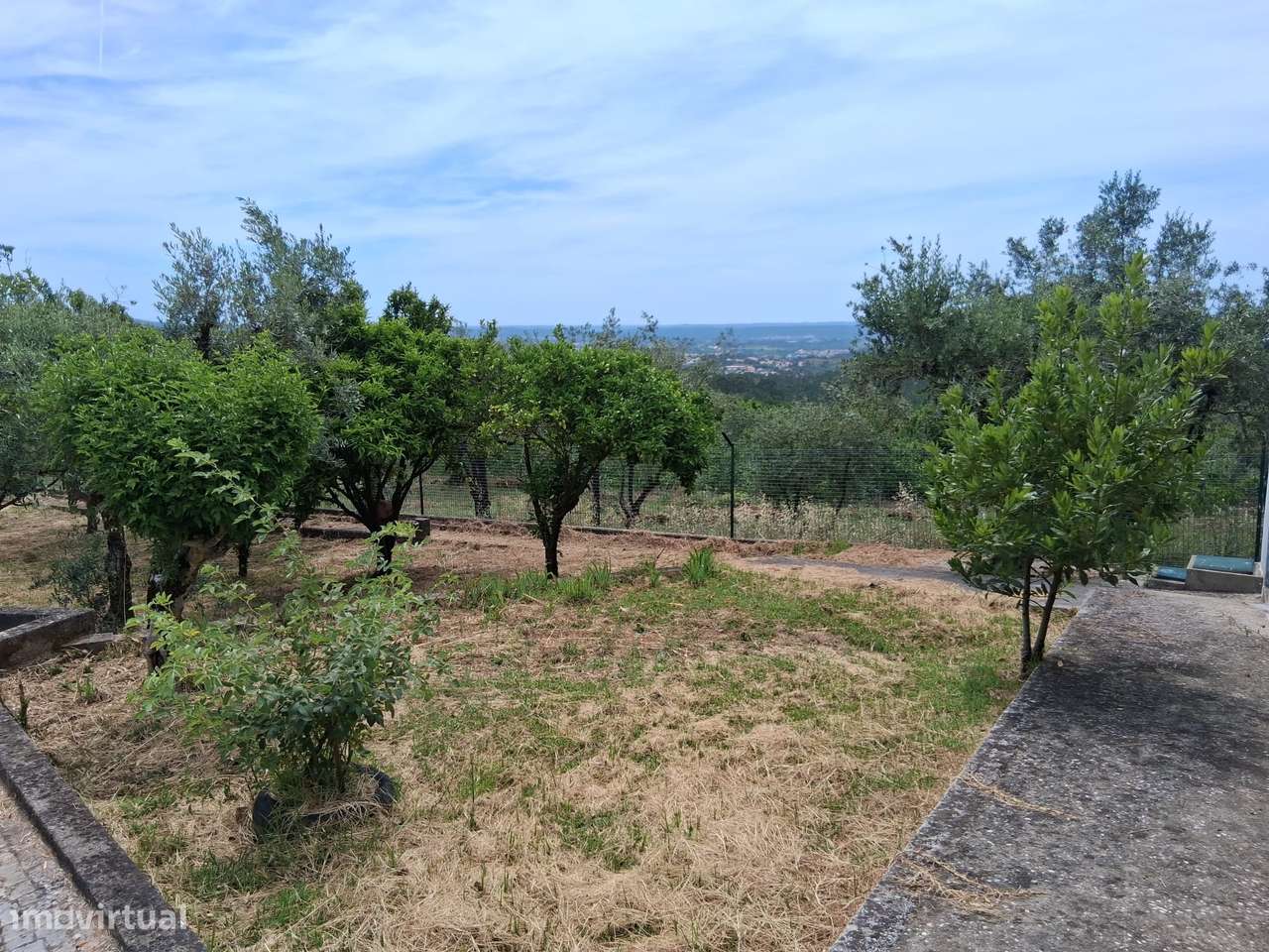 Quinta de Charme com Piscina, Vinha e 6.200 m² de Terreno | Coimbra-9