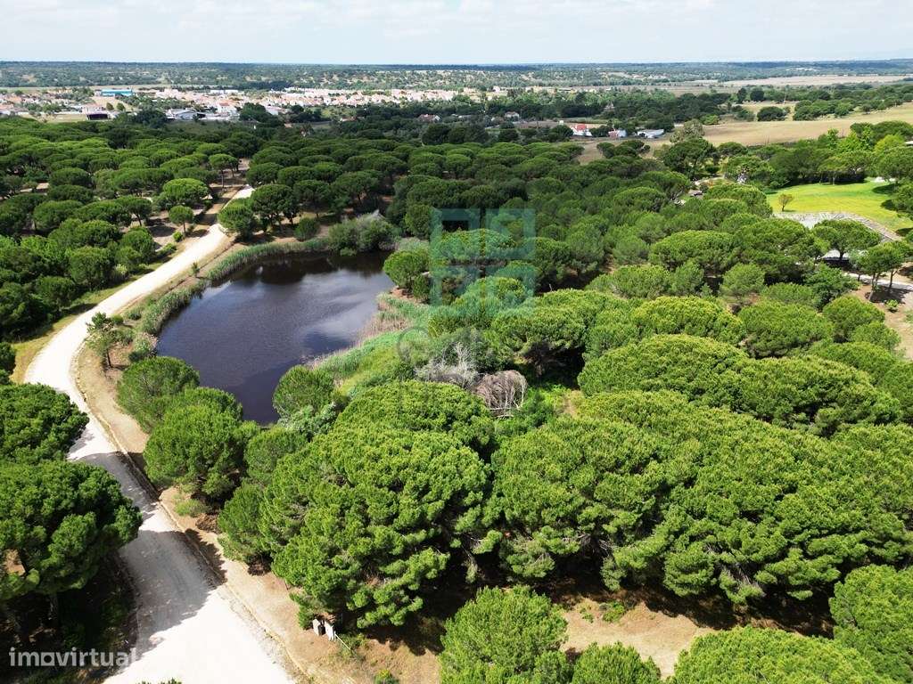 Lote de Terreno de 33.300m2, com lagoa, na Mata do Duque 1, Santo E...-31