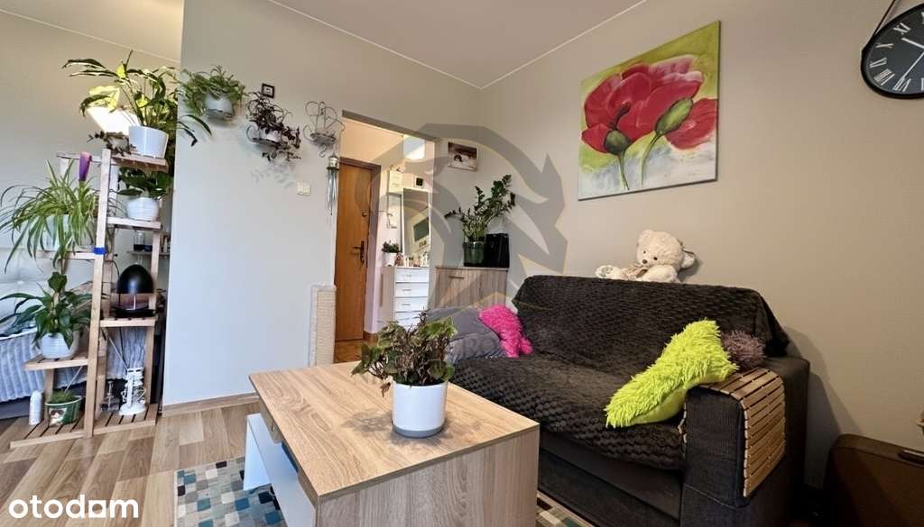 Twoja prywatna strefa Zen-4