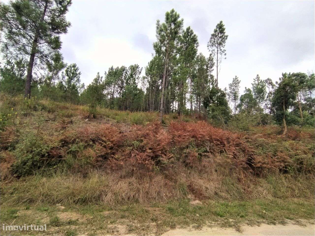 Terreno Para Construção na Lameirinha, Seiça! - Grande imagem: 4/4