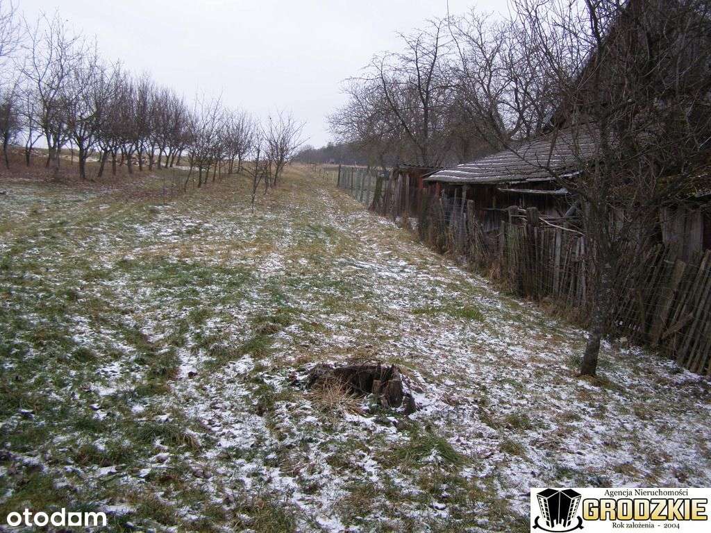 Niewielki dla Ciebie-5