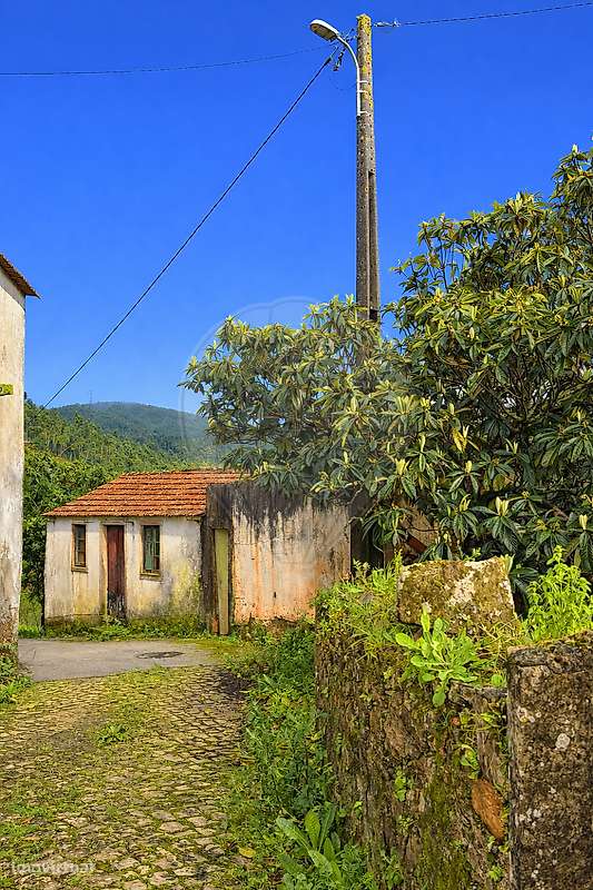 Moradia T3 para venda-3