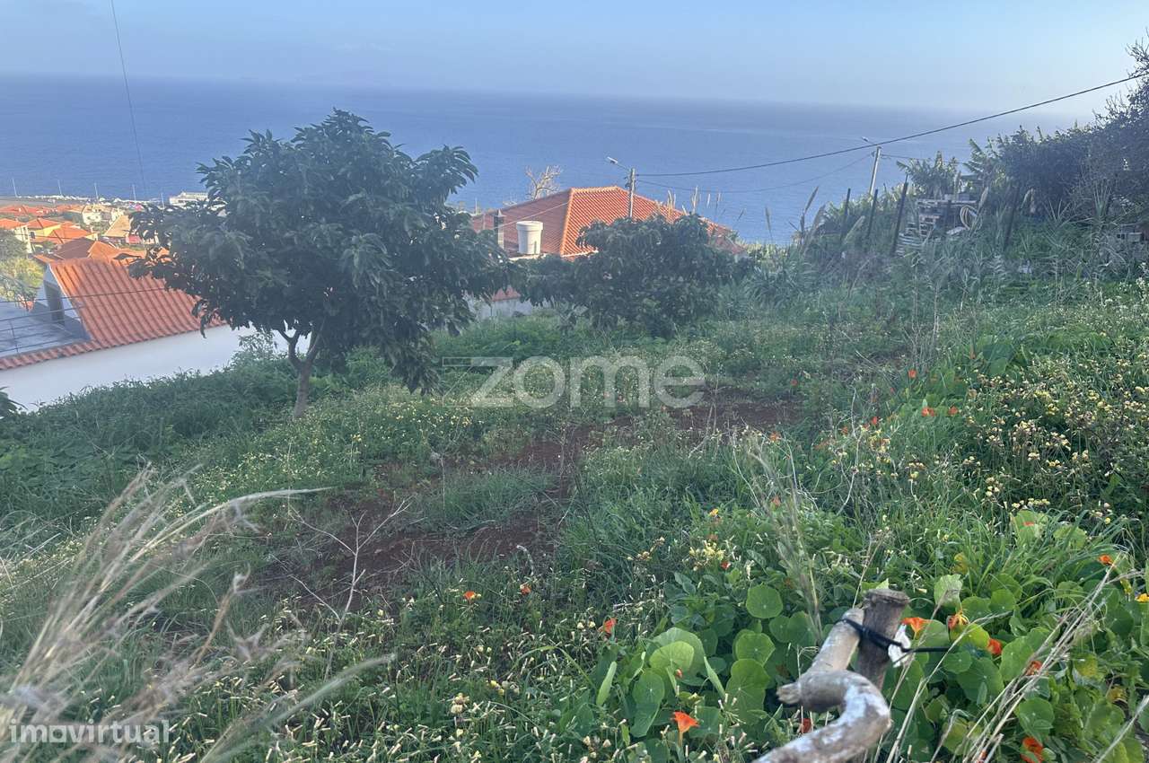 Terreno para construção em Santa Cruz-6