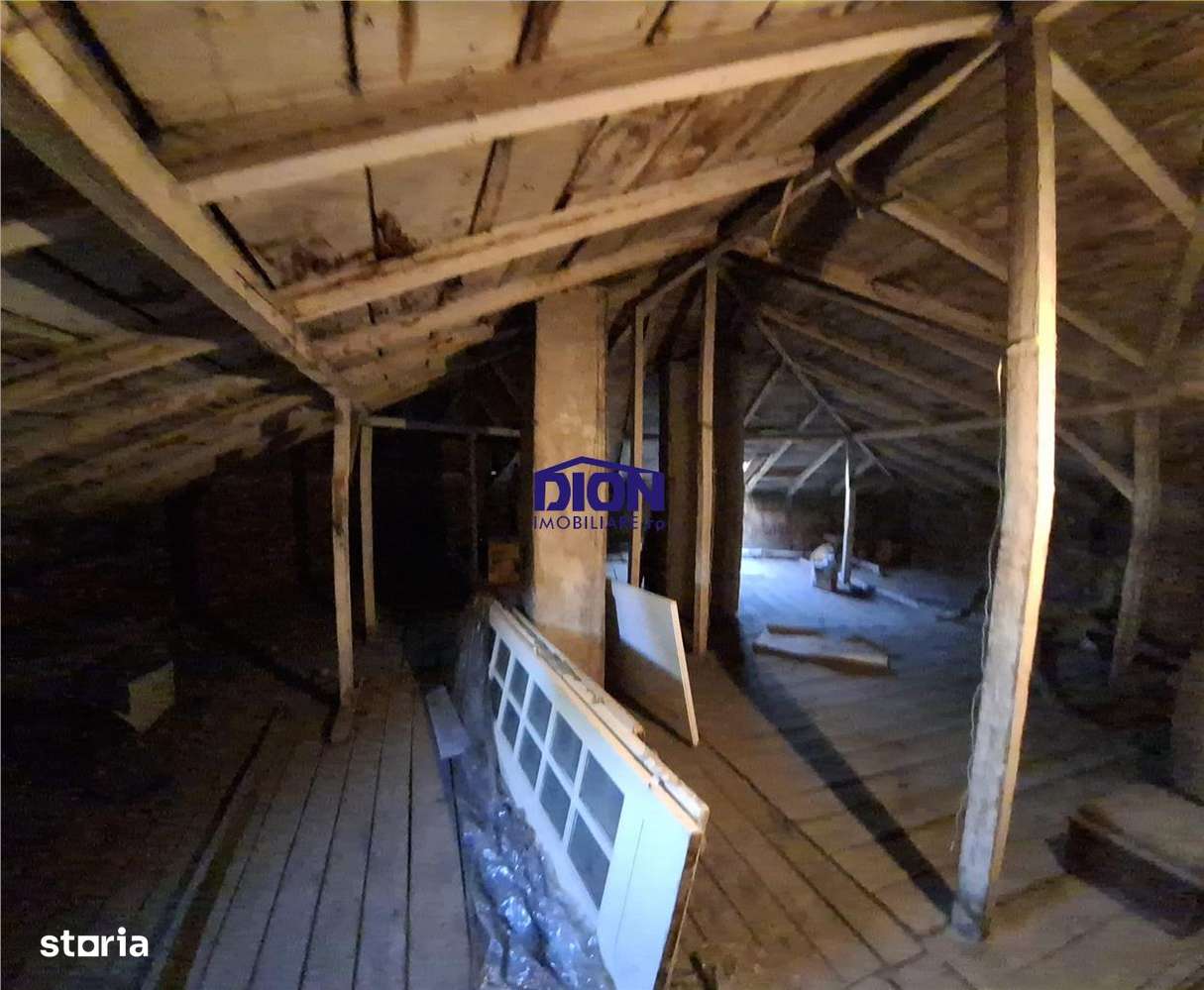 Pache Protopopescu - Agricultori - Sc. Internationala Britanica-9