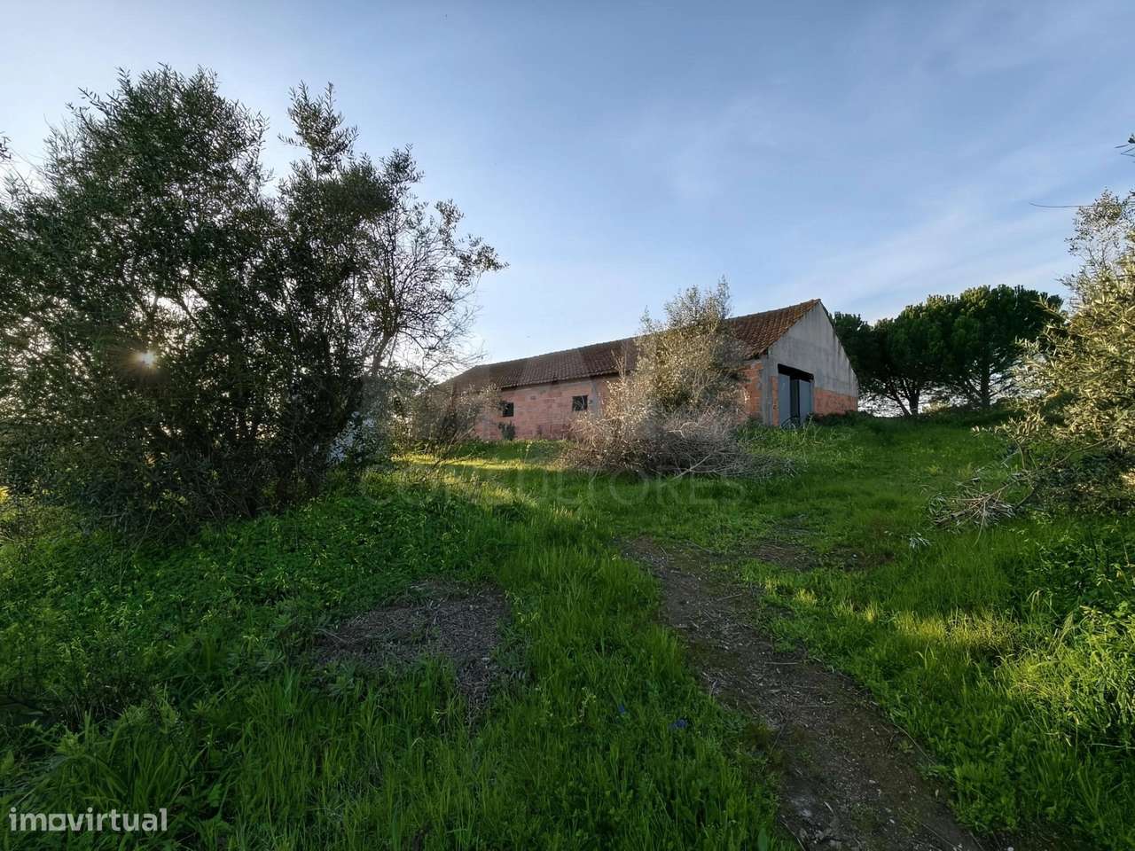 Moradia T2+1 c/ Anexo & Armazém em Lote de 7.600m2-23