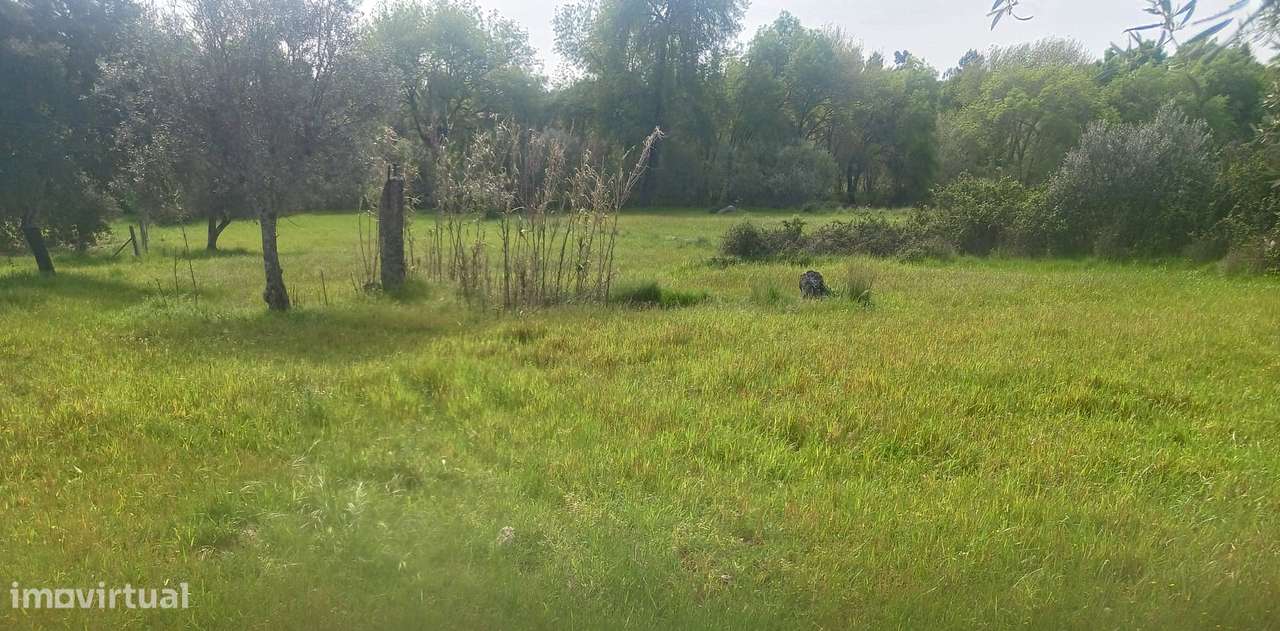 Terreno - Grande imagem: 5/8