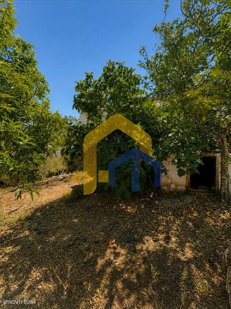 Quintinha para Recuperação Total em Glória – Estremoz-44