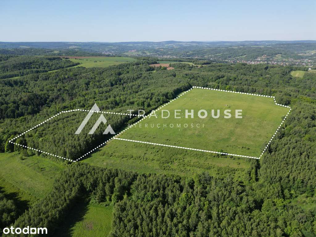 12,61 HA NIEOGRANICZONYCH  MOŻLIWOŚCI-4