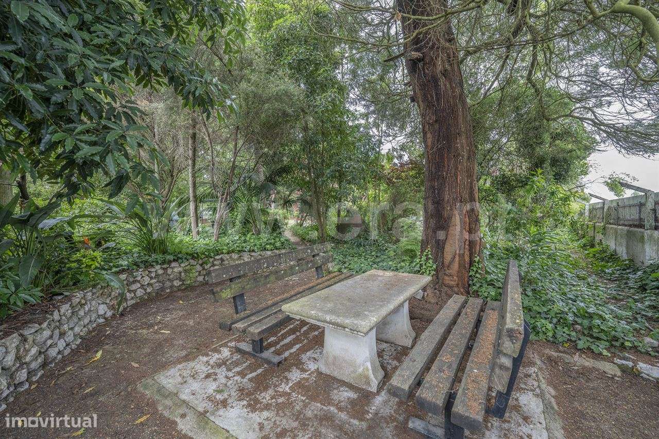 Magnifica Quinta T7; Verdizela-47