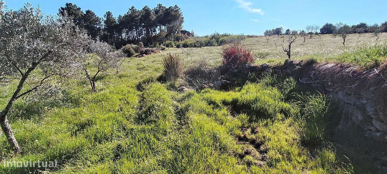 Terreno  para venda - Grande imagem: 3/10