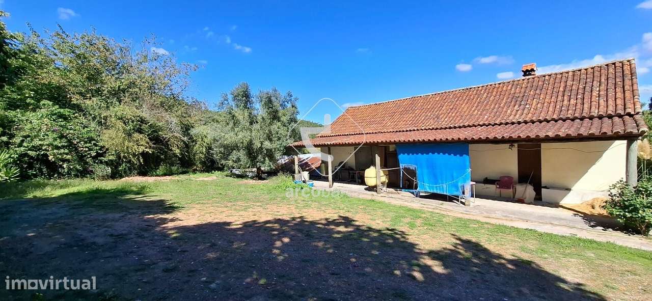 Quinta Agricola de 6Hect. c/casa T3 em Calvelo - Ponte de Lima-10