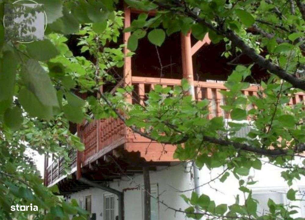 Casa Vacanta Izvorani-1