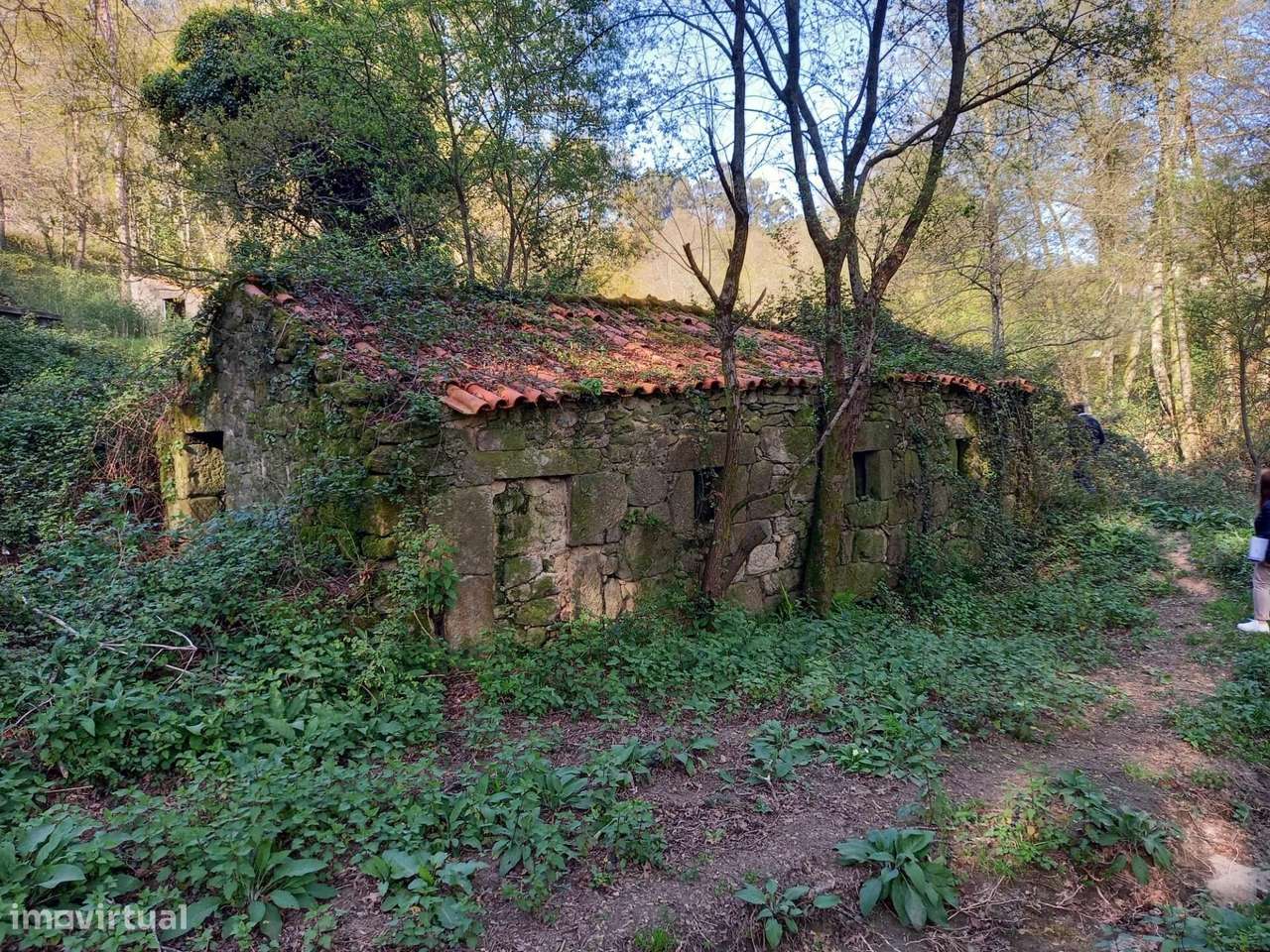 Propriedade Exclusiva com Moinho e confrontação e margem de Rio – Pare - Grande imagem: 2/20