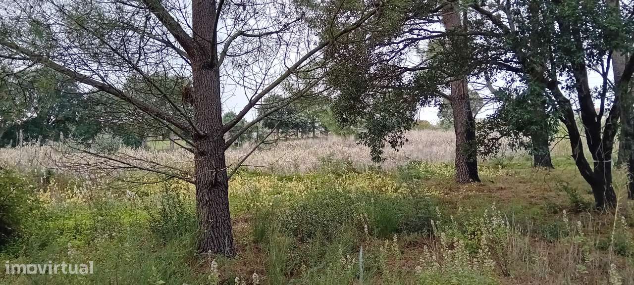 Terreno à venda na Aldeia Nossa Senhora da Glória - Grande imagem: 5/13