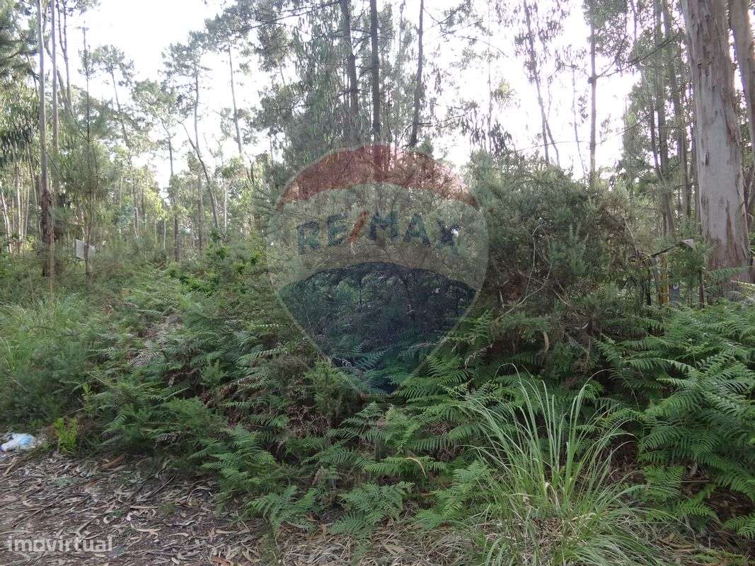 Terreno  para venda - Grande imagem: 3/6