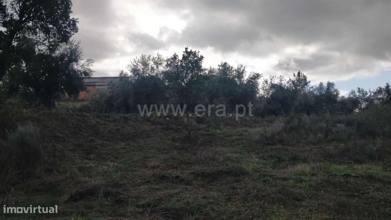 Terreno Rústico / Fundão, Póvoa de Atalaia e Atalaia do Campo - Grande imagem: 4/20