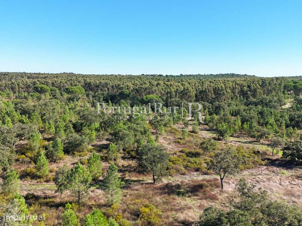 Quinta de 20ha com projeto para Turismo Rural a 1h de Lisboa-33