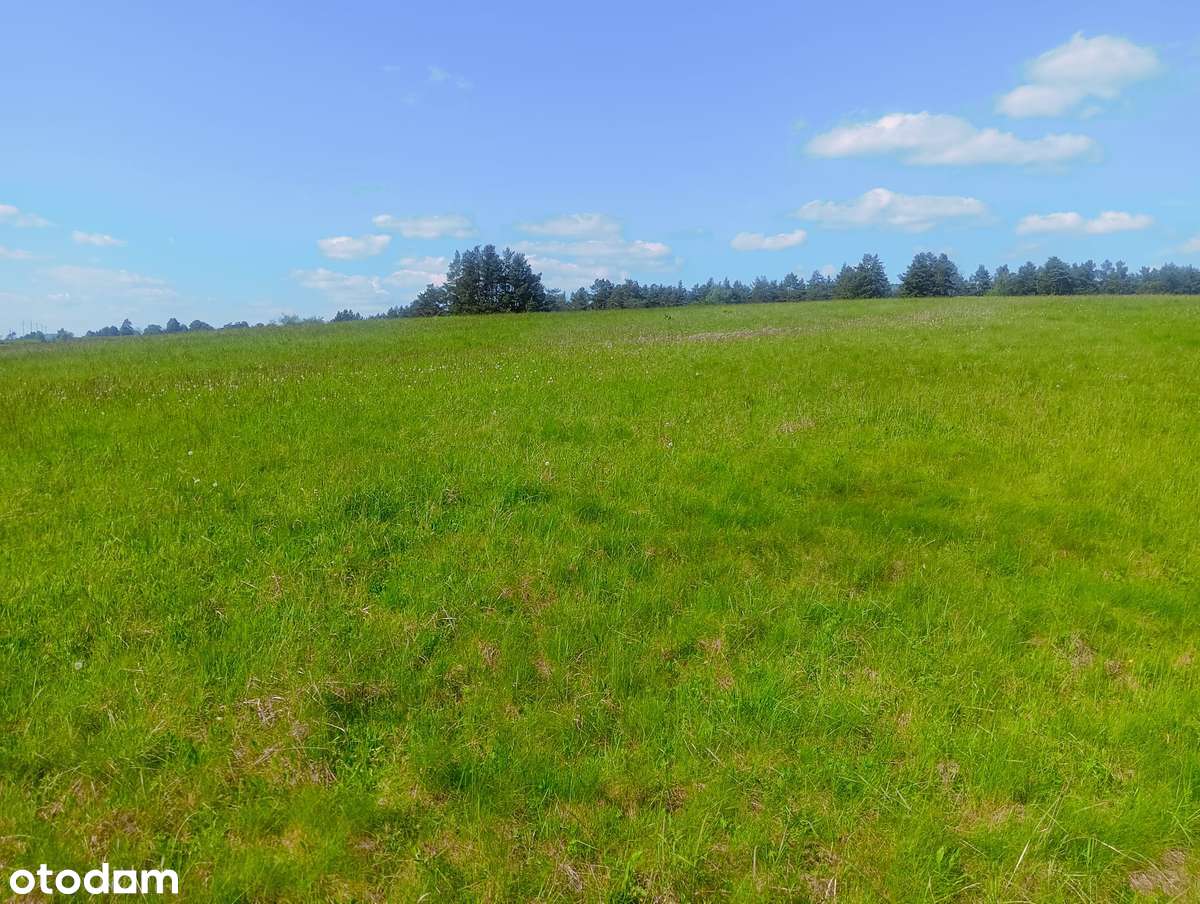 Na sprzedaż działka rolna 16,8 ha Smolnik / Wola Michowa, gm. Komańcza - Pełny obrazek: 4/9