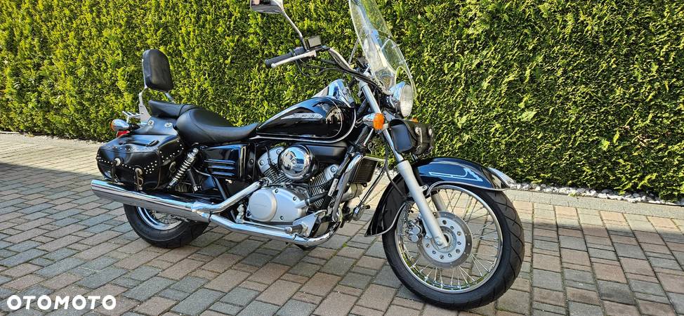 Honda Shadow - 7