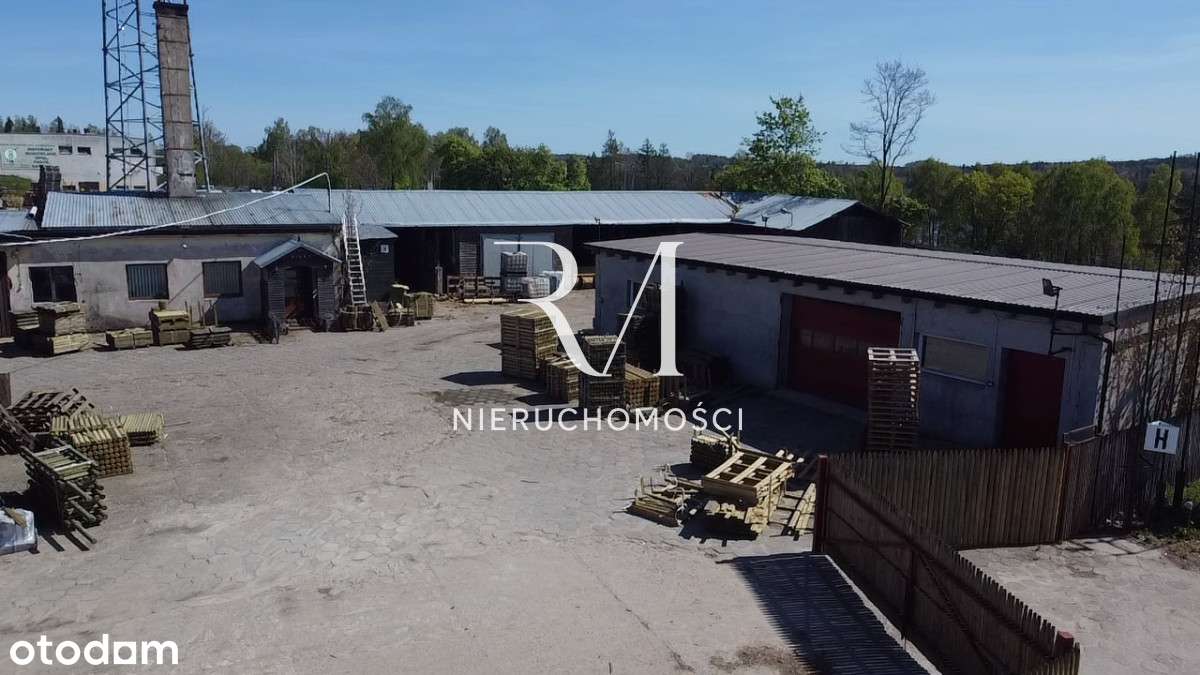 Tartak na sprzedaż - w świetnej lokalizacji!-6