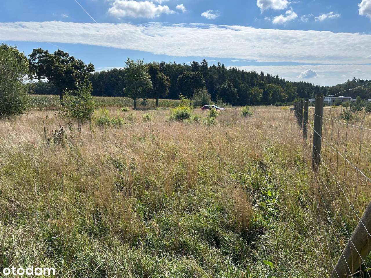 Sadowie | Działka w spokojnej okolicy 1303m2 - Pełny obrazek: 5/6