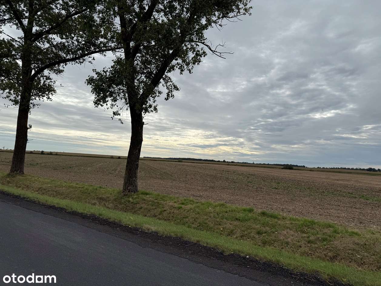 Działka w Korfantowie-5